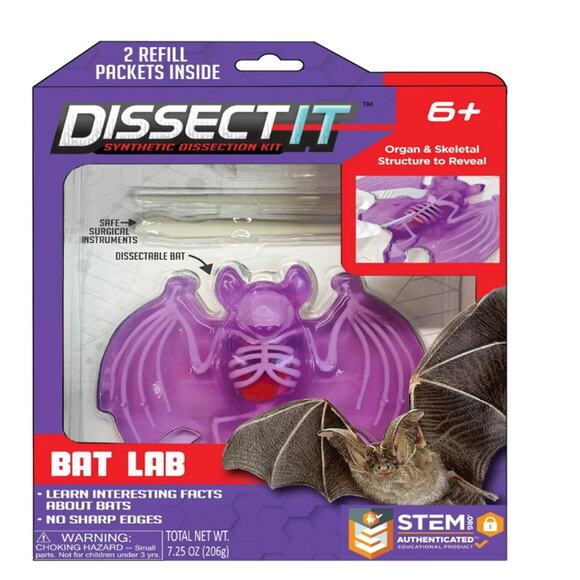 Dissect It Bat Science Kit Safe Realistic‎ Dissection for Kids STEM Learning - Picture 1 of 4